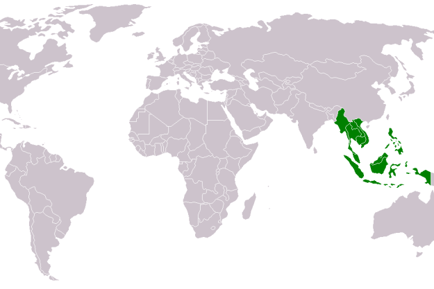 south asia map