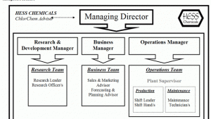 Figure 1. Management Structure, HESS Chemicals, Associate Programme OPCW 