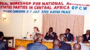 Legal workshop for Central African National Authorities held in cameroon.5-7 July 2005.