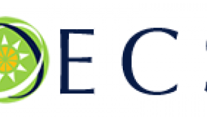 OECS logo 