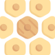 Convergence of chemistry and biology